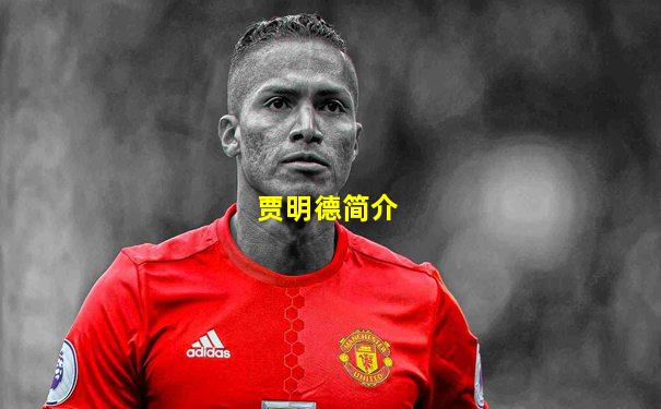 贾明德简介
